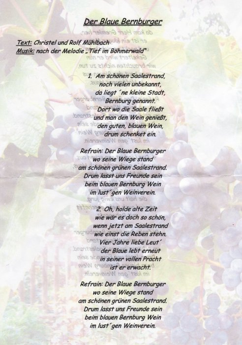 Lied 'Der Blaue Bernburger'